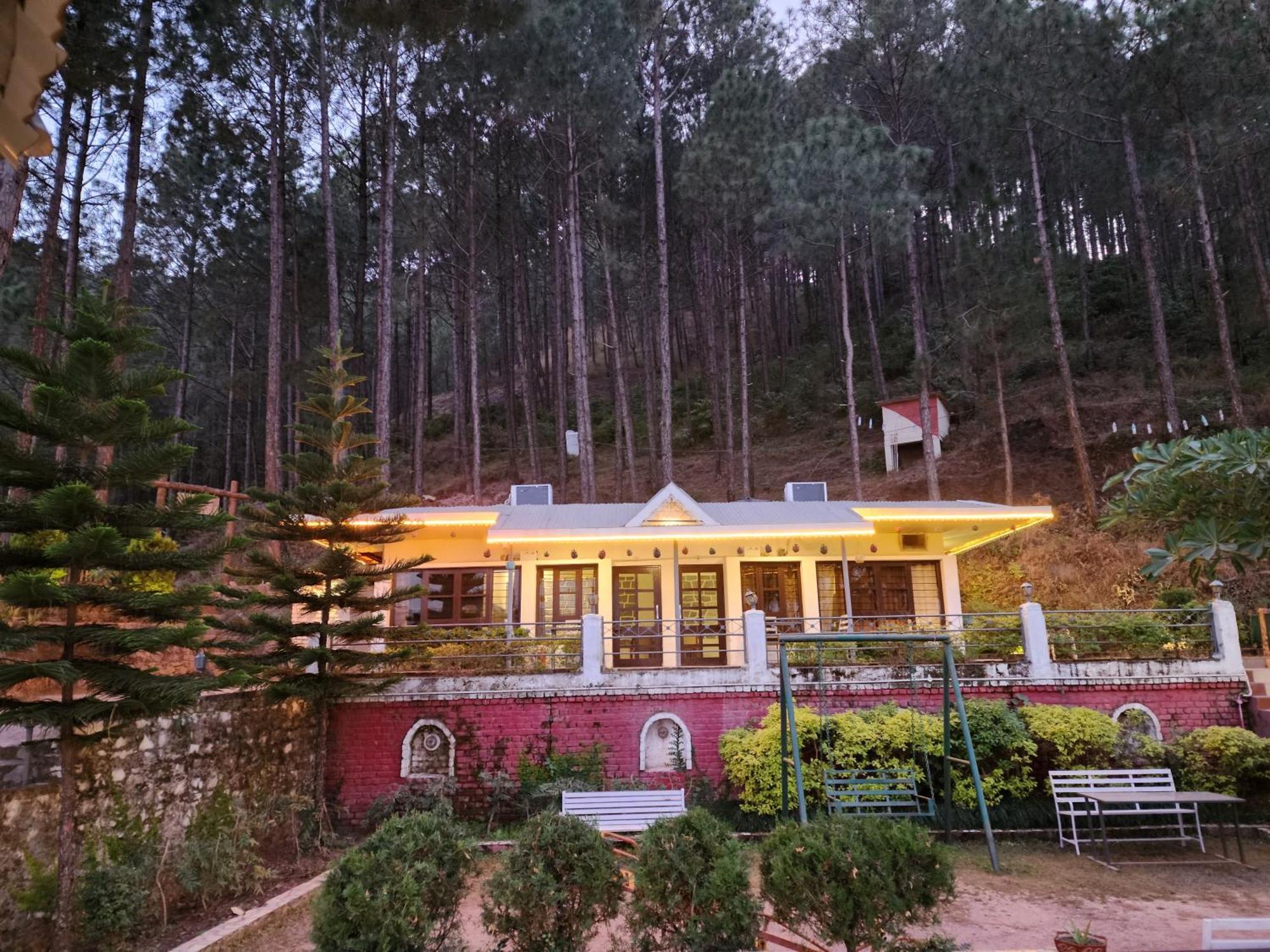 Pine Valley Resort Kasauli Exterior photo
