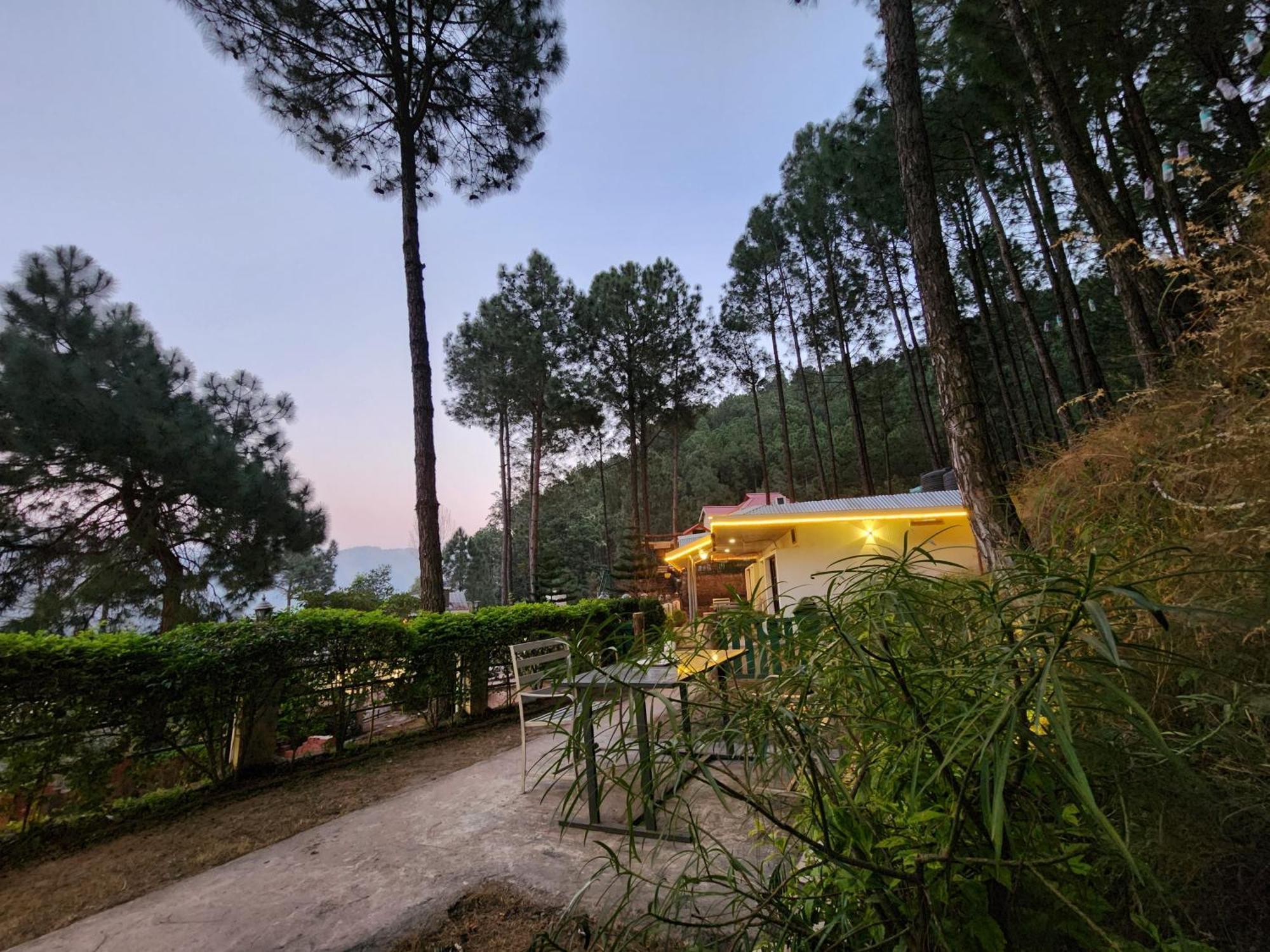 Pine Valley Resort Kasauli Exterior photo