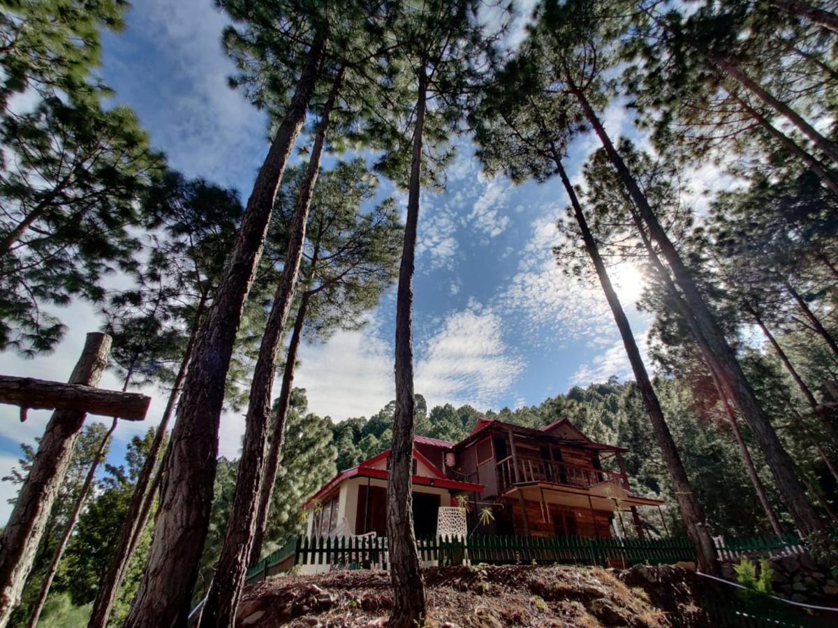 Pine Valley Resort Kasauli Exterior photo